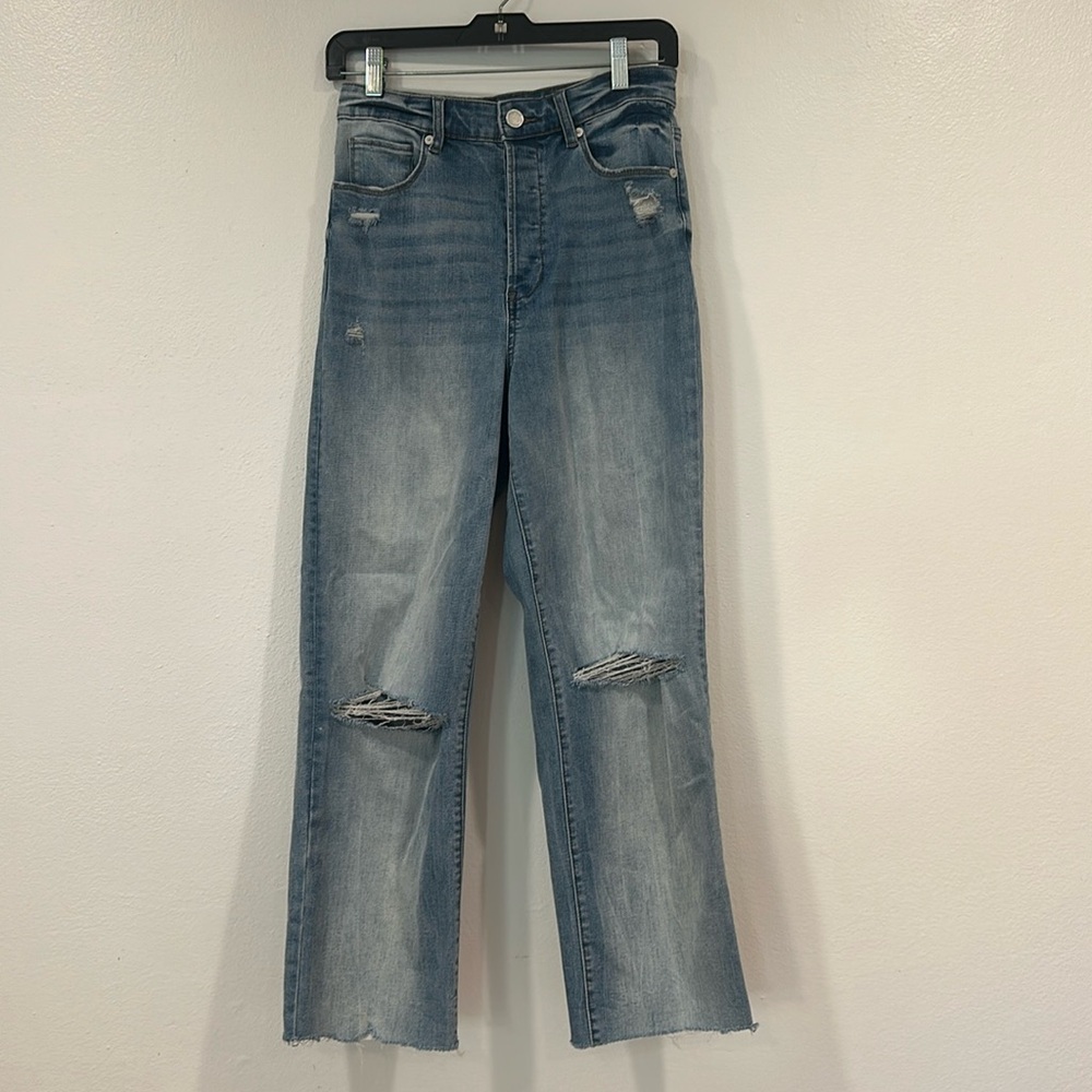 BLANKNYC The Baxter Ribcage Straight Leg Organic Cotton Button Fly Jeans Size 28